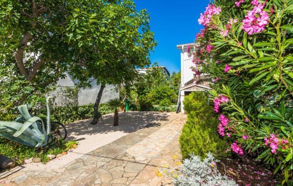 Apartment "Marija" - Otok Vir Exterior photo